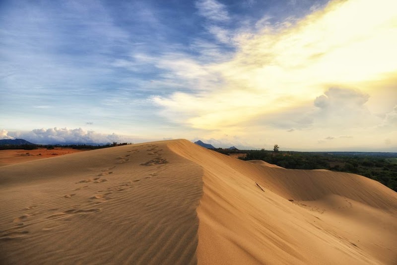 Đồi cát Nam Cương