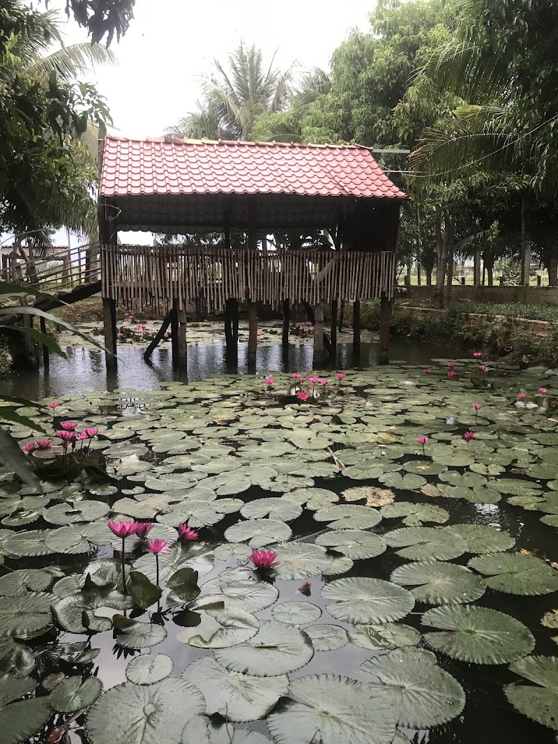 Eco-Chi Homestay